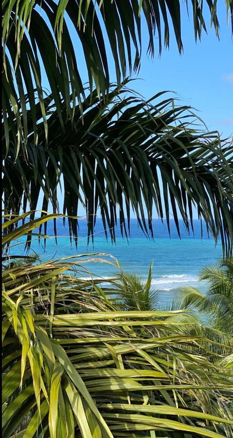 Spring Garden Mobay Resort Montego Bay Dış mekan fotoğraf